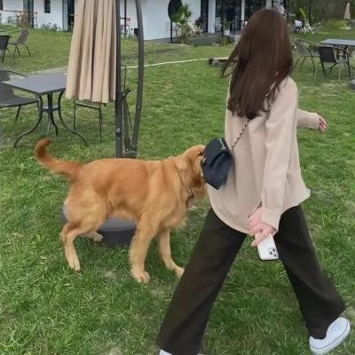 潦倒岁月免费在线观看